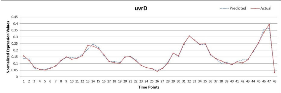 SOS-DNA修复网络基因表达量预测-uvrD