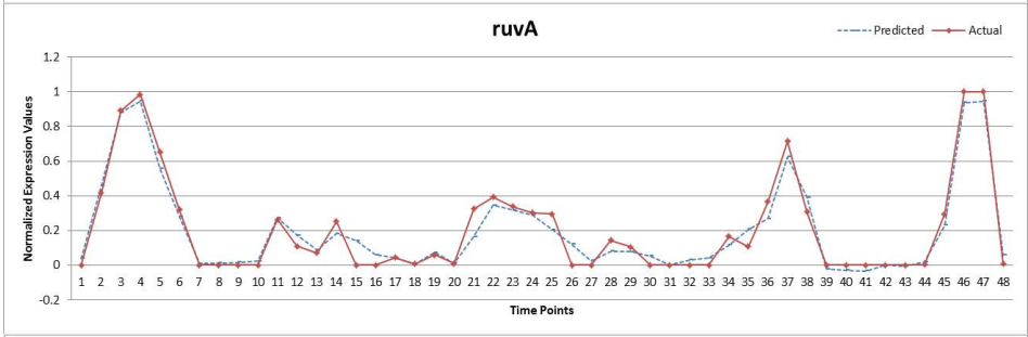 SOS-DNA修复网络基因表达量预测-ruvA