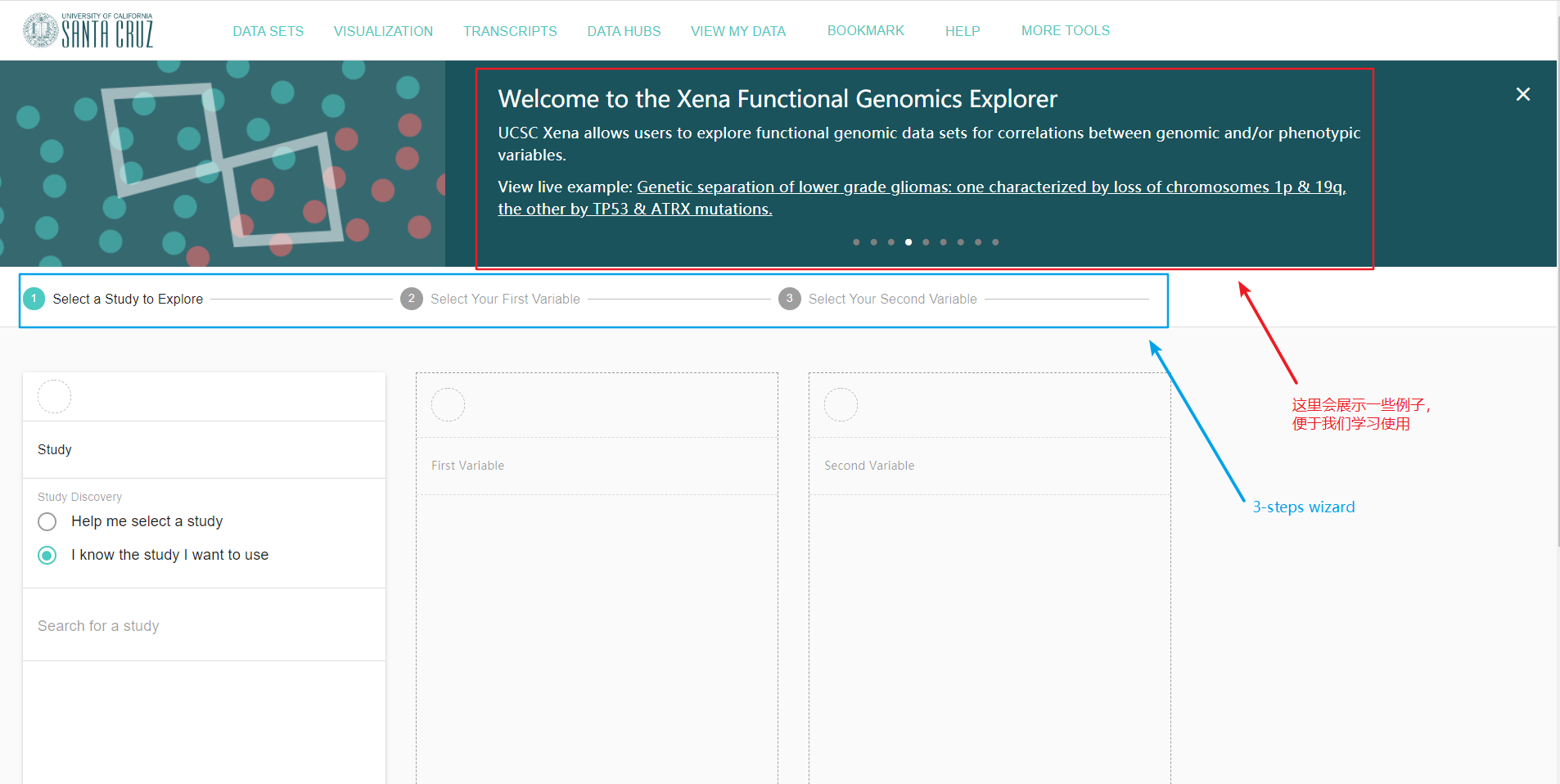 [Functional Genomics Explorer]