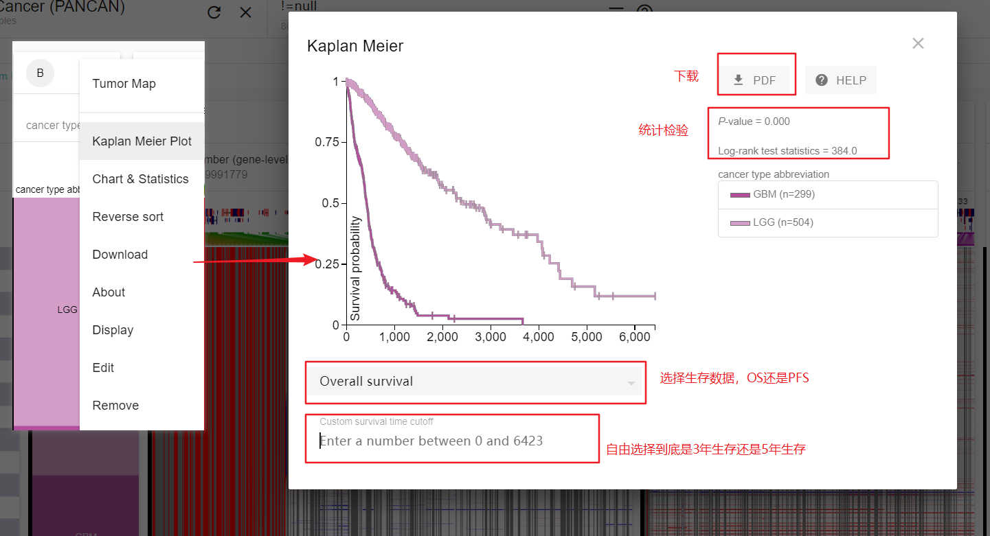 K-M plot