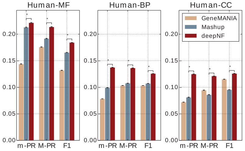 Human